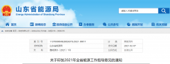 关于印发2021年全省能源工作指导意见的通知