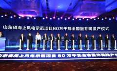 山东首批海上风电示范项目全容量并网发电